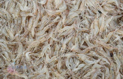 云南全面試行食用農產品合格證制度 涉及蔬菜 水果 畜禽等產品