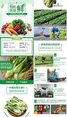 白菜詳情頁模板_白菜詳情頁設計素材下載_白菜詳情頁圖片素材