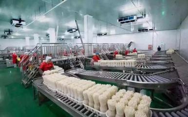 “鄒城蘑菇”入選2019國家農產品區域公用品牌