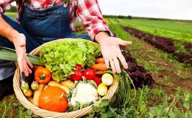關注|重磅!農業農村部將停止無公害農產品認證,全國啟動合格證制度試行工作!