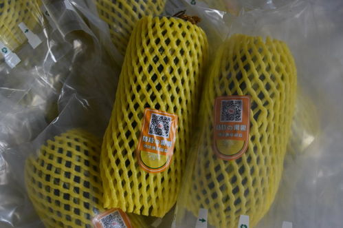 全市農產品質量安全暨食用農產品合格證推進現場會在桃園鎮召開