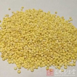 湖南推動食品安全信用評價與行業準入掛鉤