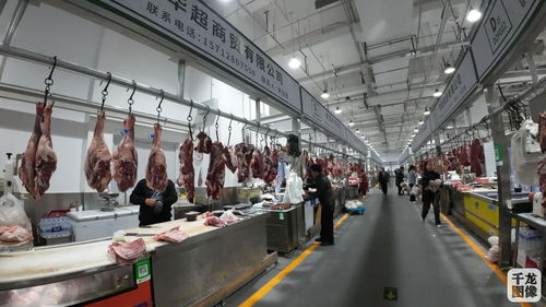 八里橋市場(chǎng)商戶入駐 新家 北京鮮活農(nóng)產(chǎn)品流通中心再添新活力