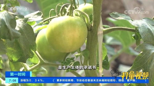 速看 農業農村部 全面推進食用農產品合格證制度