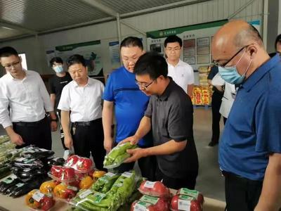 農業農村部來淄博調研農獸藥殘留超標治理工作情況