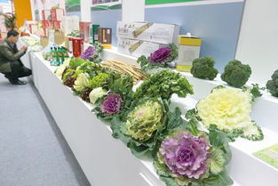 12月3日至9日全國食用農產品市場價格比前一周上漲0.6