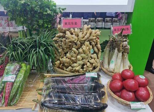 濟南市40余個優質產品亮相第二十二屆綠博會