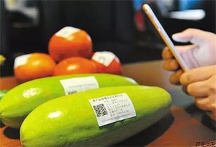 廣西加快推進(jìn)重要產(chǎn)品追溯體系建設(shè) 信息互聯(lián)互通