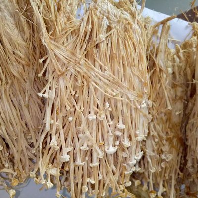 金針菇干貨 食用菌農產品無硫 酒店食材及工廠提煉 批發聚劃算