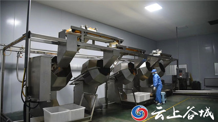谷城石花鎮:培育壯大特色農產品深加工 推動農業產業鏈做大做強